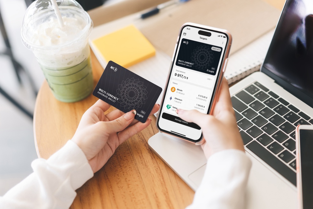 Tangem Classic Black Wallet (3-cards set)