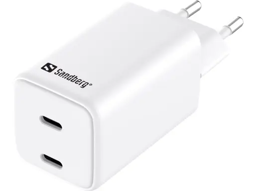 [441-56] AC Charger Dual USB-C PD65W EU